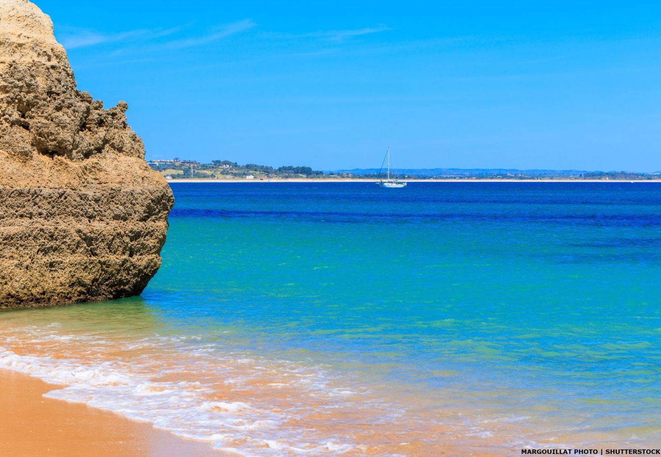 Apartment in Carvoeiro - Vila Golfemar